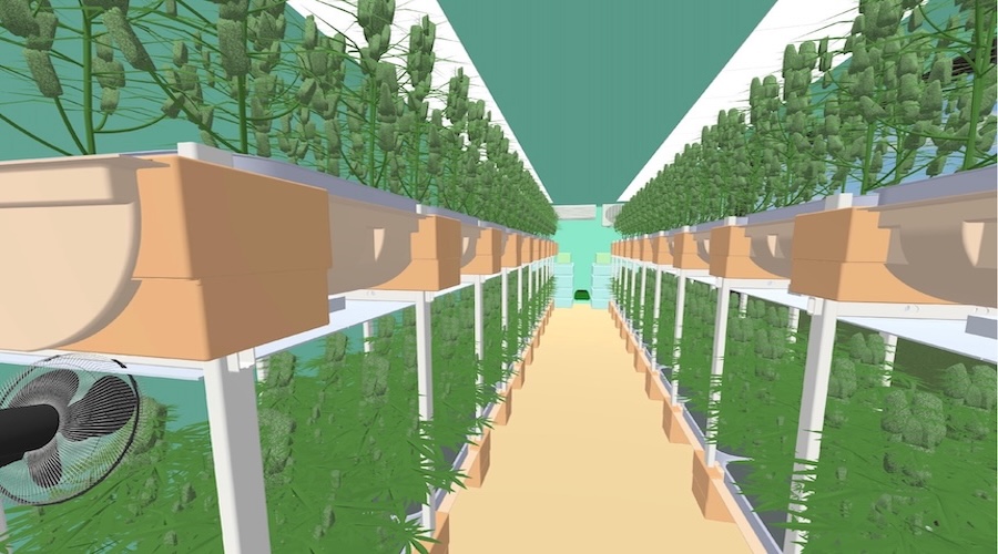 Container%20cannabis%20flowring