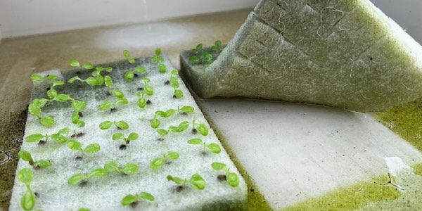 Ready to go to nursery