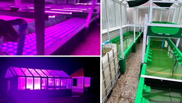 Ukraine &nbsp;AHAS farm