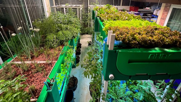 placeholder image-sq