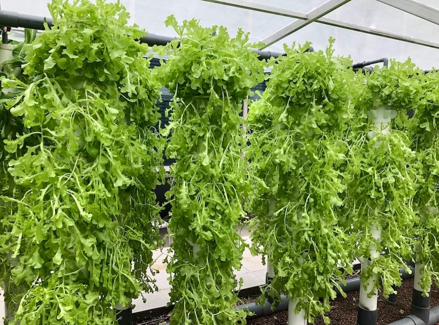 Tower faillure due to light