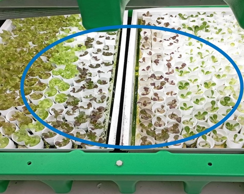 Space fully utilized