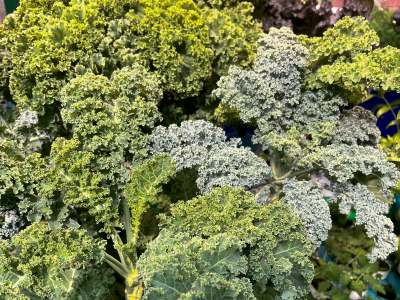 Parsley