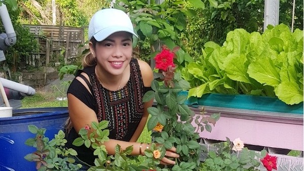 AHAponics Deva groing Roses in Aquaponics