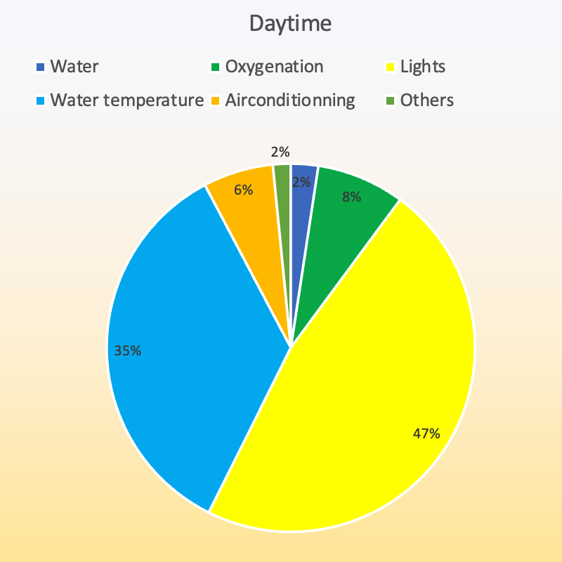 Energy consumption DAYTIME