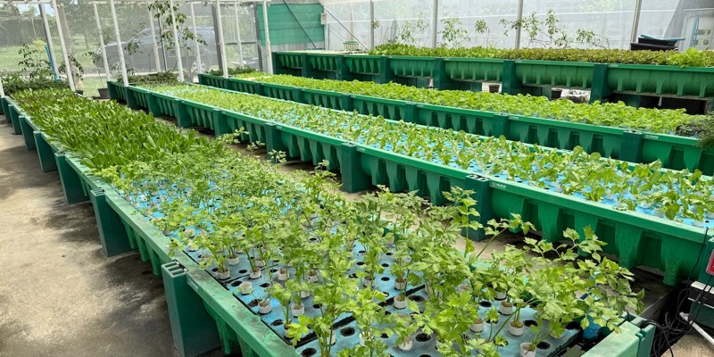 AHAponics Farm before upgrade
