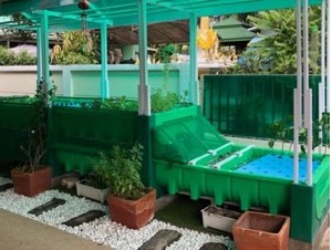 AHAponics AHAS garden kits