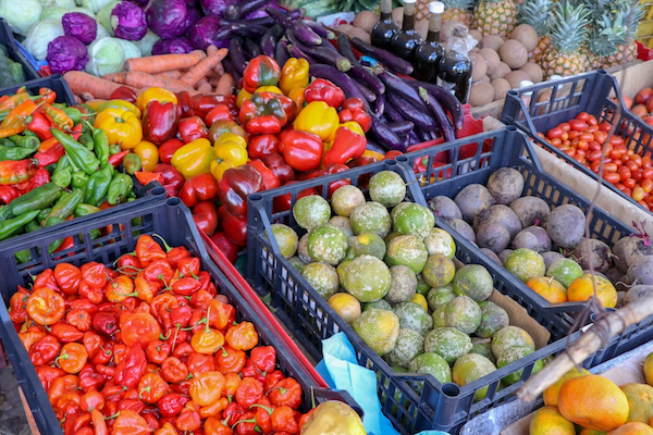 AHAponics Ensure your food supply