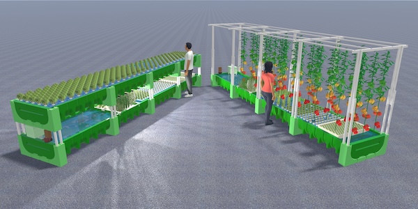 AHAponics AHAS EasyGrow EG620