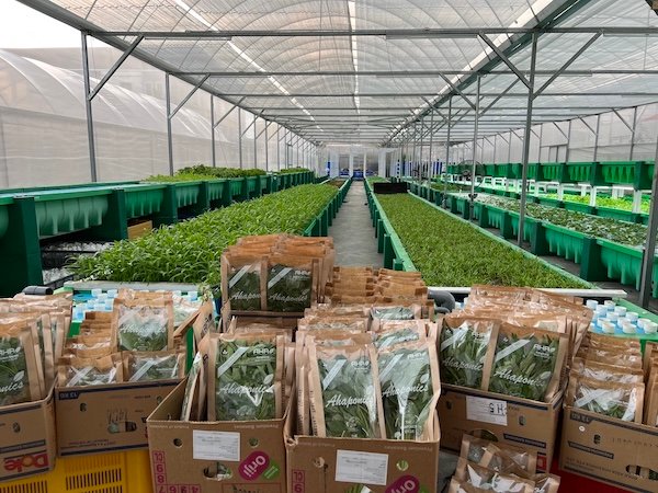 Kuala Lumpur farm