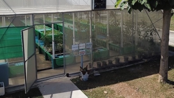 CPDC farm