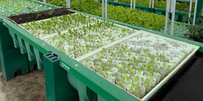 production%20planning Nursery.JPG